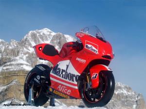 Ducati 2005 MotoGP