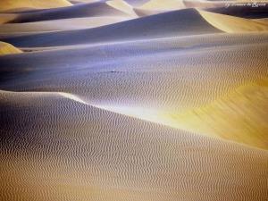 Dune sabbiose