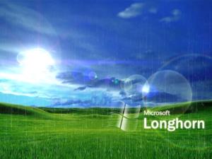 LongHorn Bliss Rainy