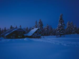 Al calar della sera sulla neve