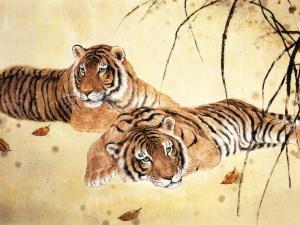 Docili tigri