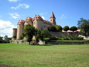 Castello sulla Loira - Francia