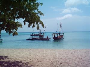 Isoletta al largo di Zanzibar