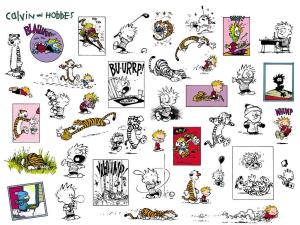Calvin and Hobbies Pictures