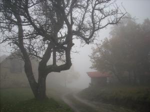 nebbia in collina