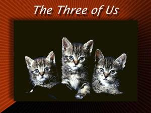 Tre di noi Gattini 