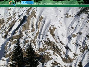 Passo Rolle - Trentino