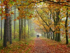 Passeggiata in autunno