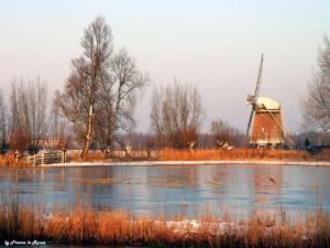 Kinderdijk - Olanda