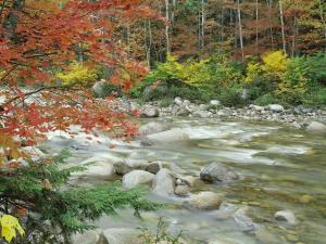 Letto di fiume in autunno