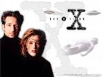 Tv  X  Files