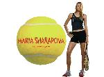Wallpaper Maria Sharapova