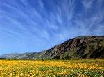 Wallpaper Borrego Valley - California - USA