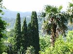 Orto botanico a Yalta