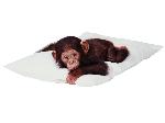 Wallpaper scimmietta