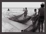 Wallpaper pescatori