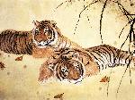 Wallpaper Docili tigri