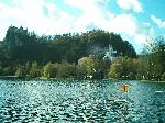 Lago di bled-slovenia