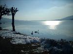 lago inverno
