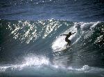 Wallpaper Surf