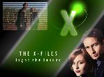 The x Files