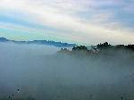 Nebbia in Chianti
