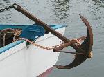 Enzo'S anchor