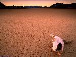 Macabro deserto