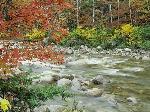 Letto di fiume in autunno